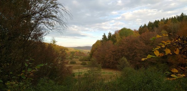 20191020_Hebststimmung.jpg