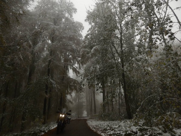 Erster Schnee.jpg