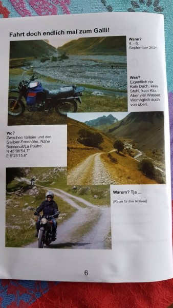 Galli.jpg
