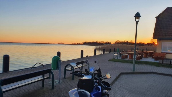 Hafen Born