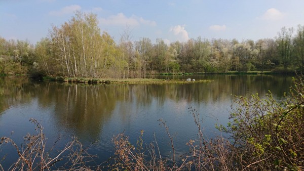 DSC_0568.JPG