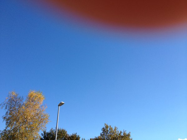 IMG_0170.jpg
