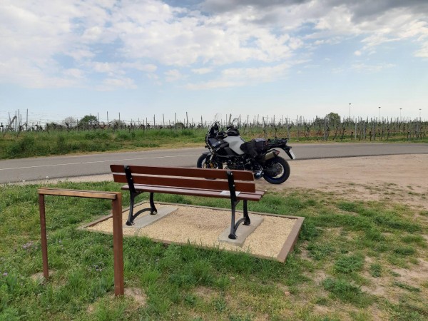 20200412_134745.jpg (436.35 KiB) 3161 mal betrachtet Wachenheim auf dem Heimweg noch ne Pause