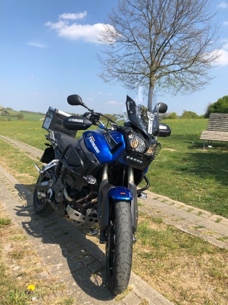 E017A1C4-B96E-40F2-B642-7CE710E782BC.jpeg (824.07 KiB) 2843 mal betrachtet XT vor einer Relaxbank