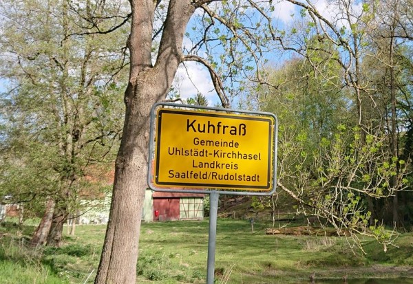 Kuhfraß.jpg