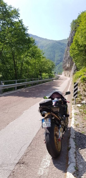 6-SS46.jpg