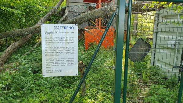 anstatt dessen nur eine Anti - Klauschild