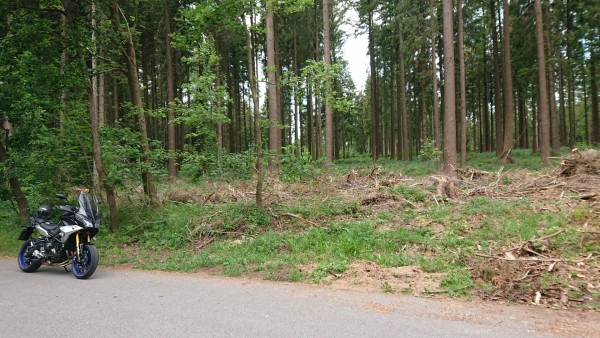 DSC_0604.JPG