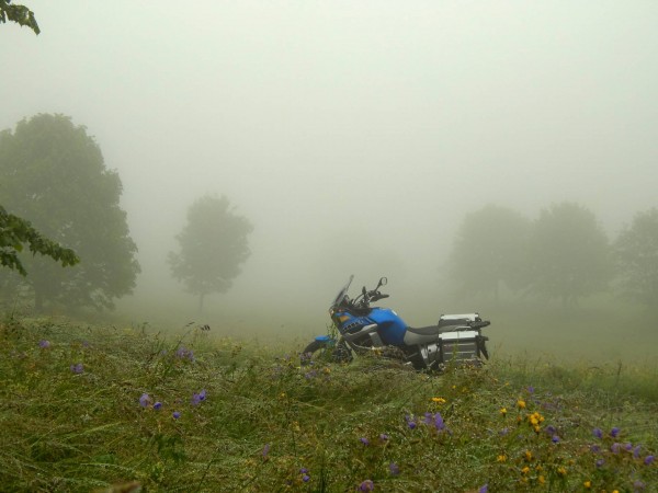 Juniregen 1.jpg