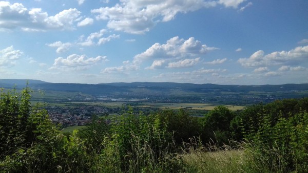 20200612_171340.jpg