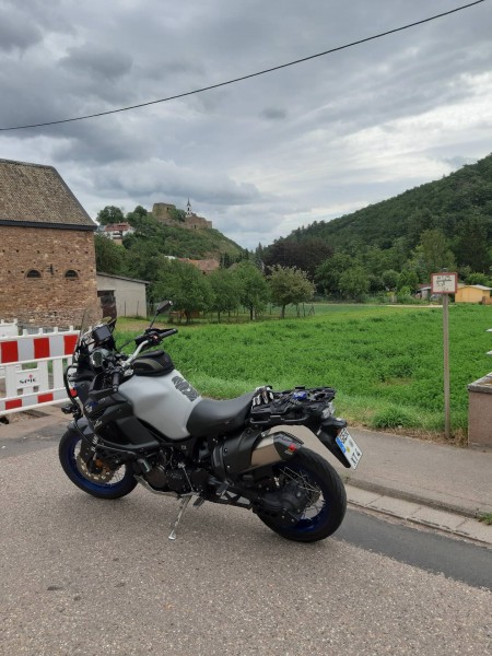 Burg Neu Bamberg im Hintergrund