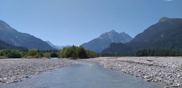 Lech