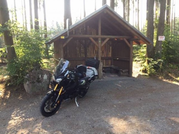 Pause im Wald