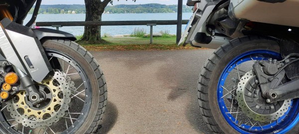 Starnbergersee im Hintergrund