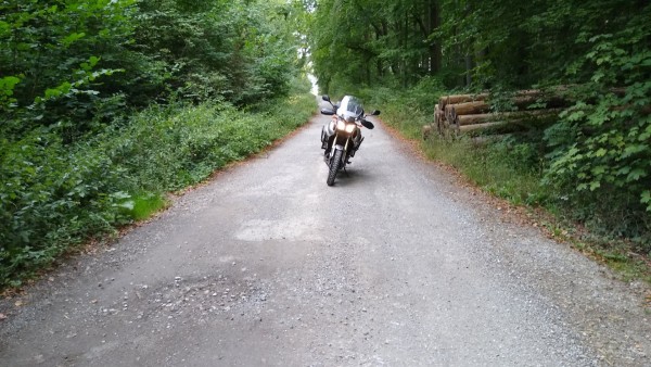 IMG_20200823_080040108.jpg