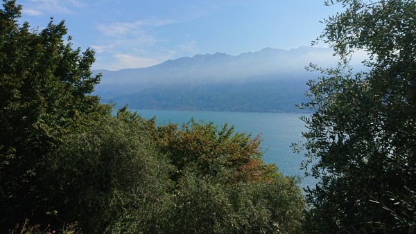 DSC_0672.JPG