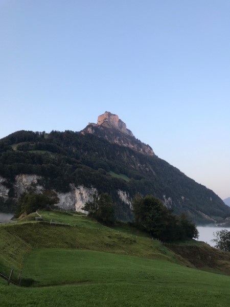 Niederbauen