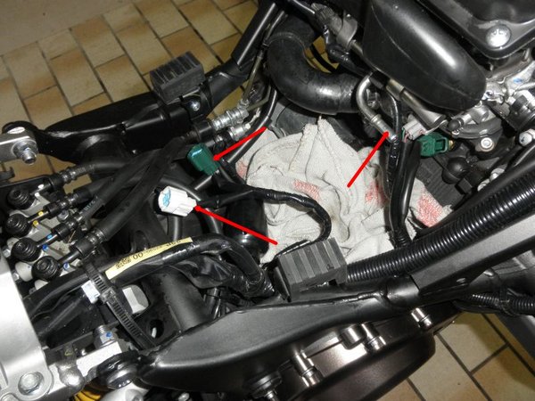 Lufi Yamaha 5.jpg