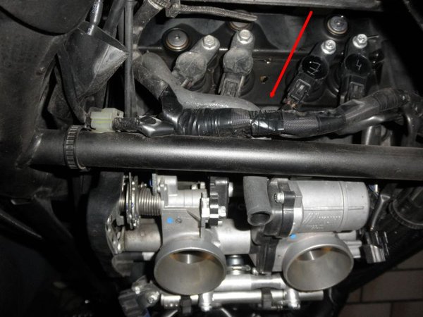 Lufi Yamaha 9.jpg