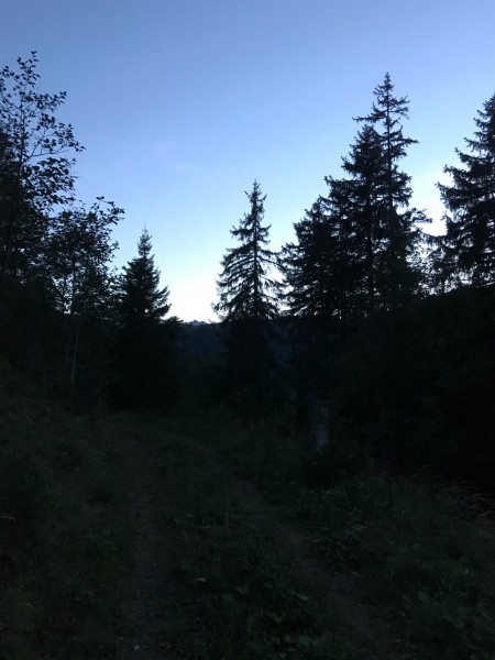 C7C70BA7-35D0-4EED-AFB4-4DF6073A3316.jpeg (646.28 KiB) 2797 mal betrachtet im Hintergrund brünstige Hirschen