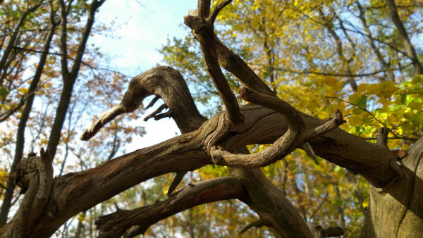 20201025_115908.jpg