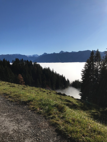 Saisonabschluss-Tour, oberhalb dem Nebel