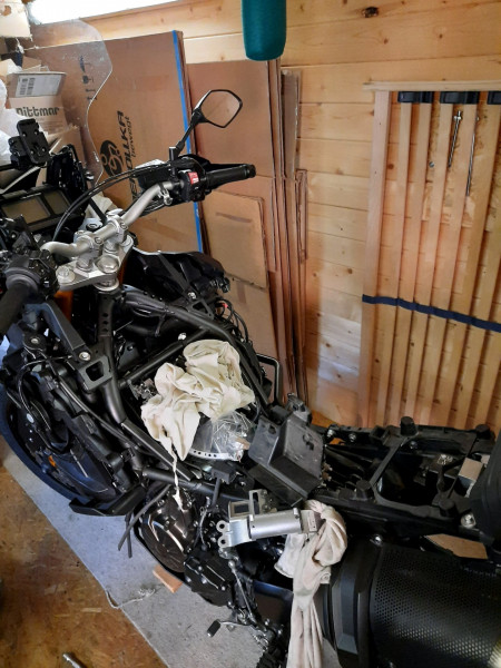 20201113_140115.jpg