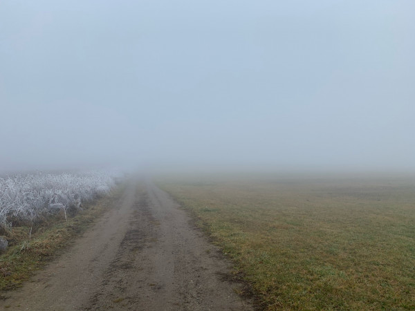 D9C3F7D5-E41B-4250-A83D-F56B94FC3C79.jpeg (543.46 KiB) 3050 mal betrachtet Sichtweite