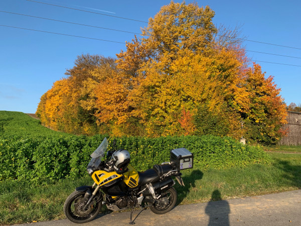 Ursprungsbild