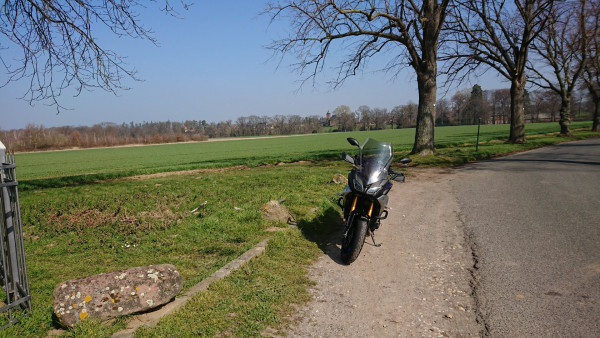DSC_0767.JPG