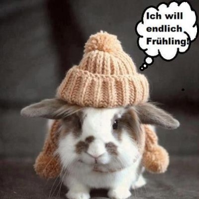 Frühling.jpg