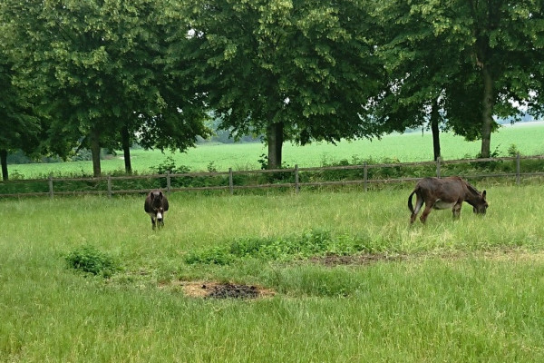 DSC_0860.JPG