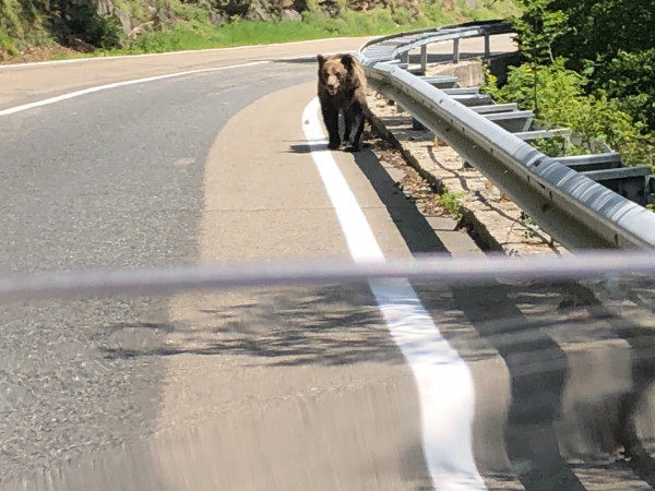 3002F0E9-A229-4F15-B2CA-623D0150817E.jpeg (591.18 KiB) 3455 mal betrachtet Einer von den vier Begegnungen