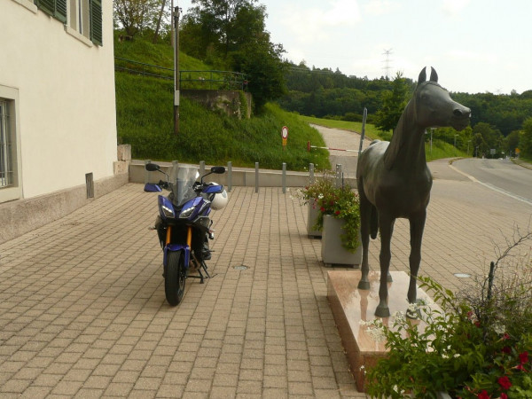 210821-Hadban Enzahi-1.JPG (268.03 KiB) 3415 mal betrachtet Hadban Enzahi