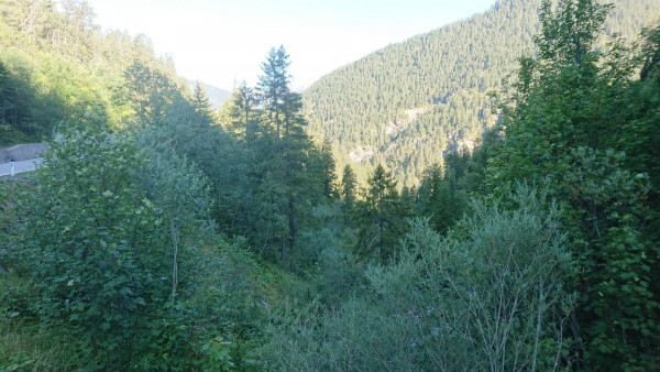 DSC_0905.JPG