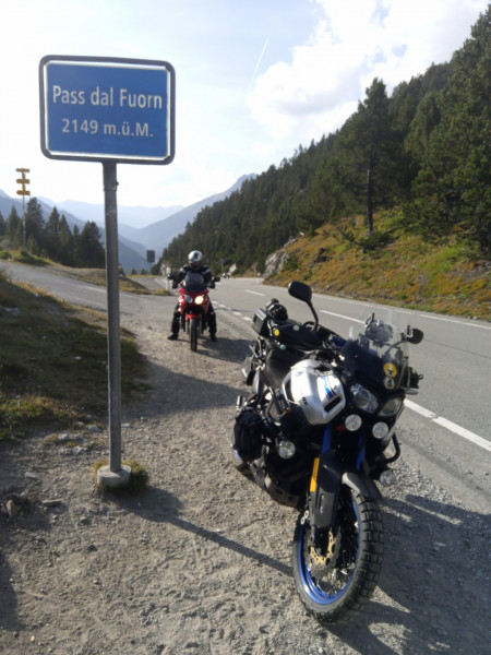 IMG_20210913_171743_8.jpg