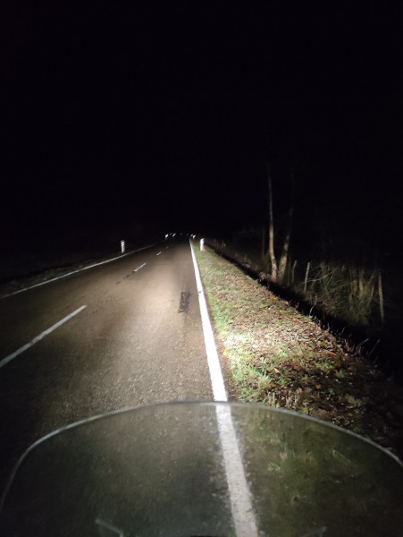 Fernlicht