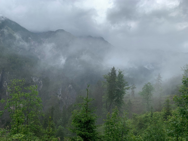 87955529-F3CB-4F6C-A4BE-9480A5507863.jpeg