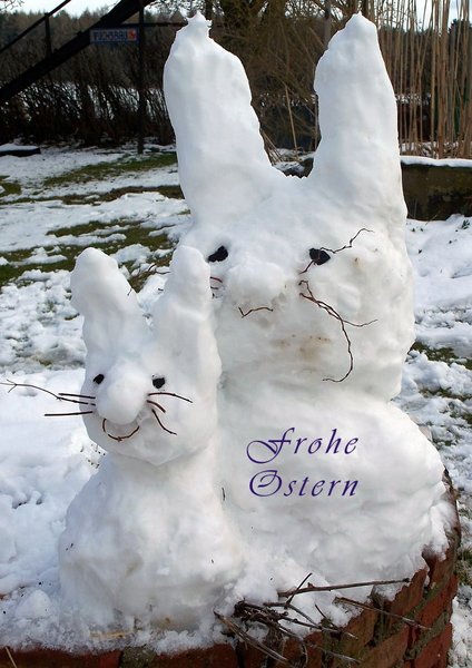 Schneehasen_gross.jpg