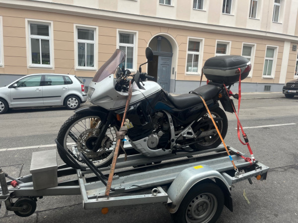 IMG_5348.jpeg