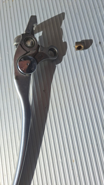 IMG-20250308-WA0007.jpeg