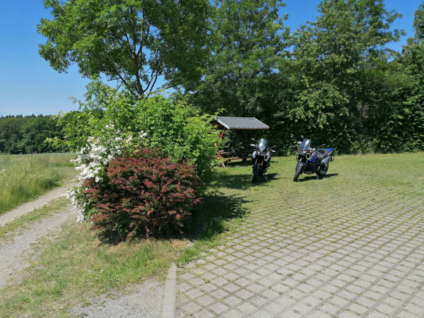 IMG_20250614_112404.jpg