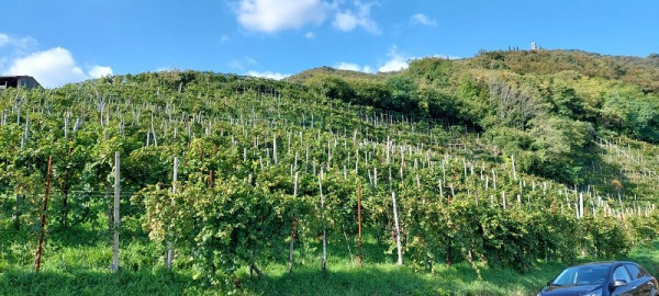 Valdobbiadene.jpg (140.1 KiB) 919 mal betrachtet ... so vui schee... ;-)