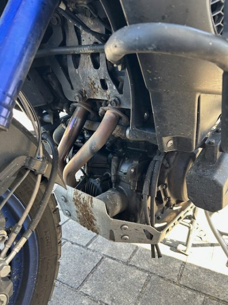 IMG_9277.jpg (152.17 KiB) 2617 mal betrachtet Mit Kuhscheiße