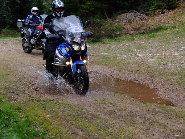 Viel Spass im Wald