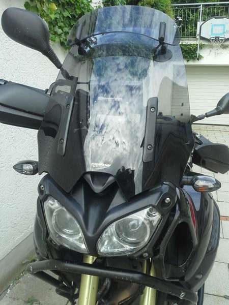 black beauty 2.jpg