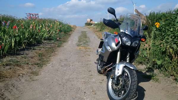 XT01.jpg
