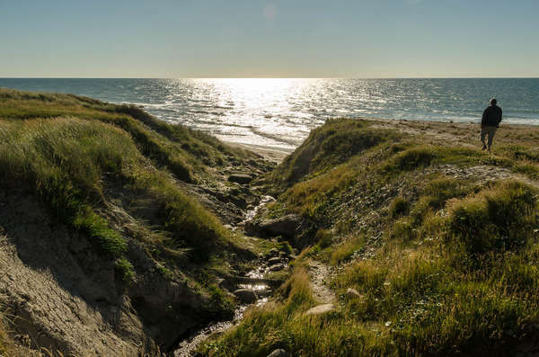 In den Dünen von Hirtshals