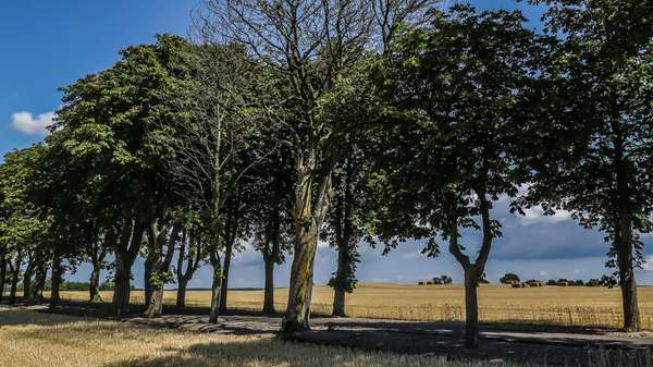Dänemark_Tour_2014_small_size-2837.jpg