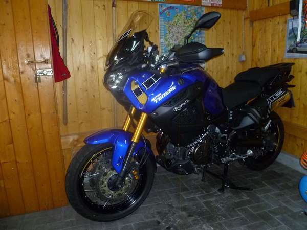 xt gelb 009.JPG